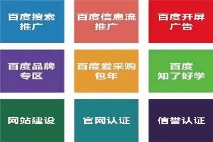 某电商平台的成功案例：信息流优化师的策略与成果